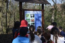 Harmadik ütemén is túl a Kamaraerdei tanösvény