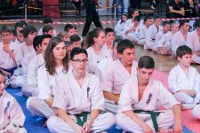 Tizenhat érmet nyertek az újbudai Kyokushin Karatésok a Diákolimpia elődöntőjén