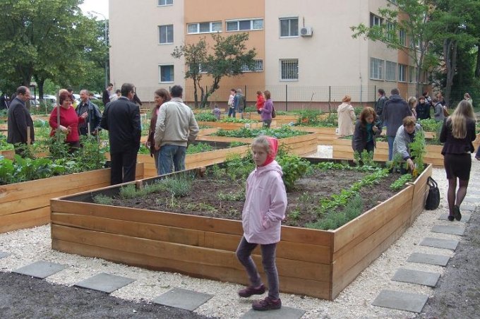 Egy éves a kerület első közösségi kertje
