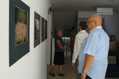 Csíksomlyói búcsú az Újbuda Galériában