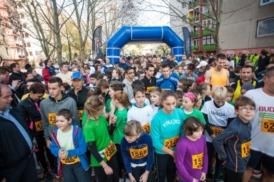 Kerület Napja: futóverseny és fitneszpark átadás 