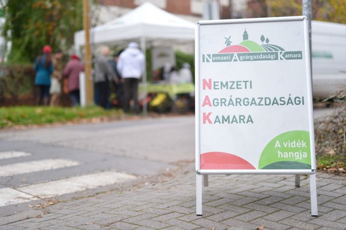 Almavásárt tartottak a kerületben