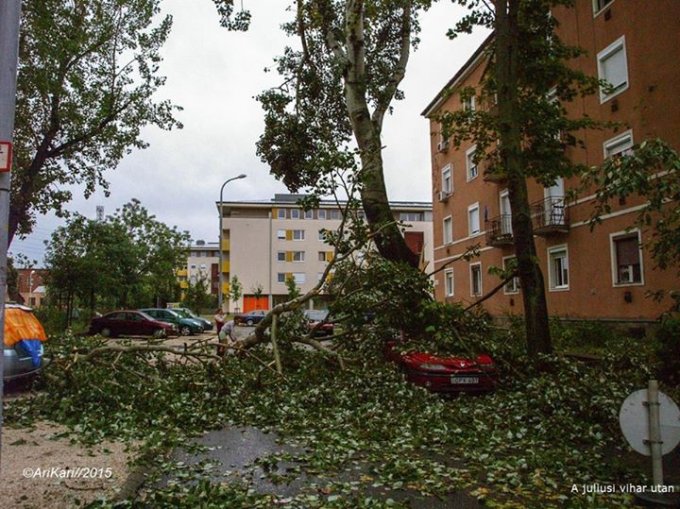 Kisköre utca / Olvasói fotó