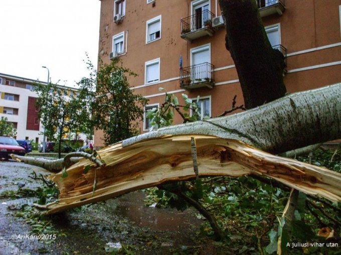 Kisköre utca és Kisköre tér környéke / Olvasóink képei