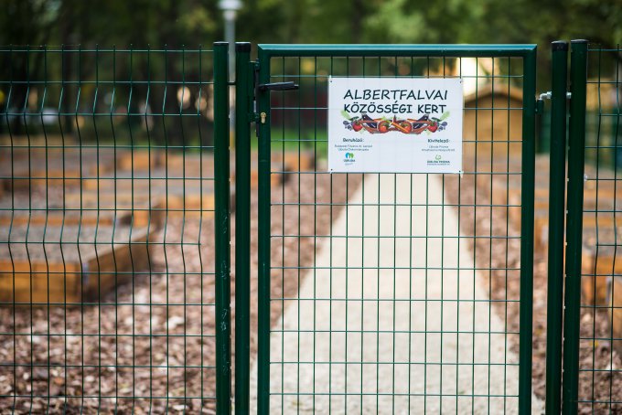 Közösségi kert nyílt Albertfalván