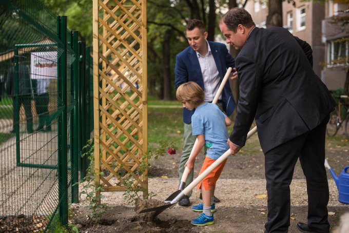 Közösségi kert nyílt Albertfalván