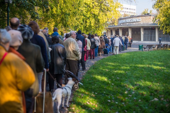 Idén is népszerű volt a kerületi krumplivásár