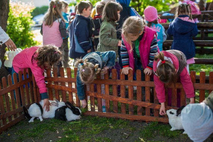 Több száz lufi festette zöldre az eget a Föld Napján