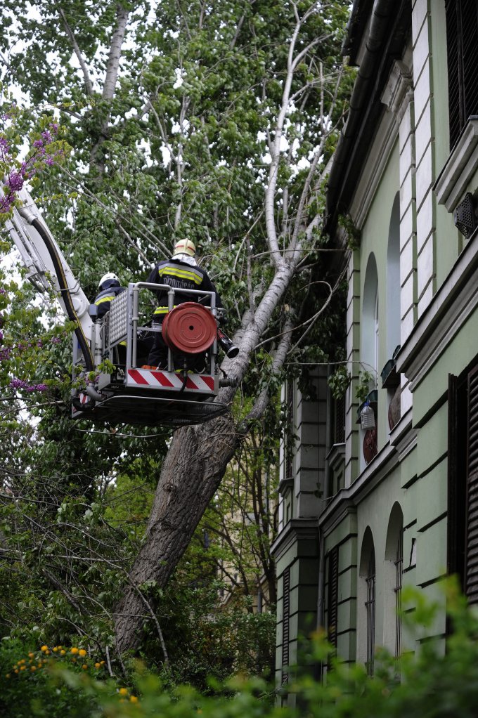 Újbudán fákat döntött ki és házakat rongált meg a vihar (Foto:MTI)