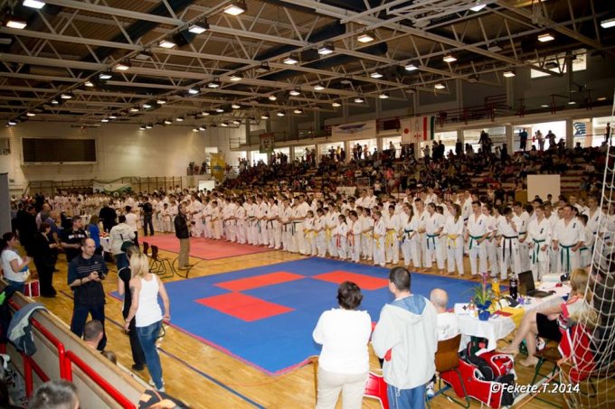 Újbudai éremeső a Kyokushin Karate Diákolimpián