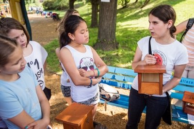 Madarakat és fákat ünnepeltek a kerületi iskolások