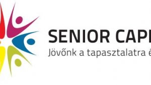Senior Capital