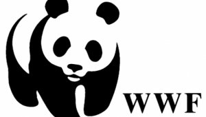 Elindult a WWF Zöld Generáció Programja