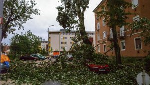 Kisköre utca / Olvasói fotó