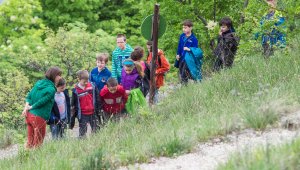 Bikapókok a "Föld napi" Sas-hegyi túrán